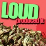 Profile picture of LoudPackEnt