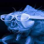 Profile picture of Nuance