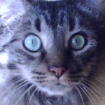 Profile picture of Jill Kettles