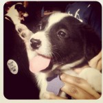 Profile picture of Natasha 