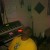 Profile picture of Bcrazydsp
