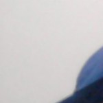 Profile picture of Tim haynesworth