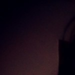 Profile picture of sirena morris