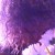 Profile picture of marysa