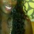 Profile picture of tamara