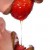 Profile picture of TASTE SOCIAL CLUB