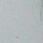 Profile picture of angeleyes