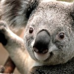 Profile picture of JustRegina