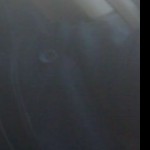 Profile picture of david b