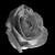 Profile picture of Vyn