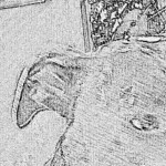 Profile picture of bstylekennels