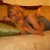 Profile picture of BritDoll