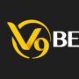 Profile picture of V9Bet p info