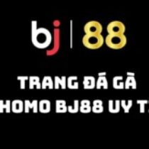 Profile picture of BJ88