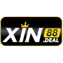 Profile picture of XIN88
