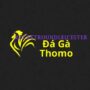 Profile picture of Đá Gà Trực Tiếp Thomo