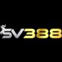 Profile picture of sv388rr