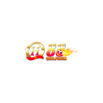 Profile picture of qh88