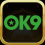 Profile picture of Ok9