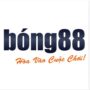 Profile picture of BONG88