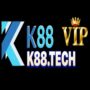 Profile picture of k88