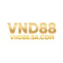 Profile picture of VND88