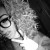 Profile picture of AshleyLydia
